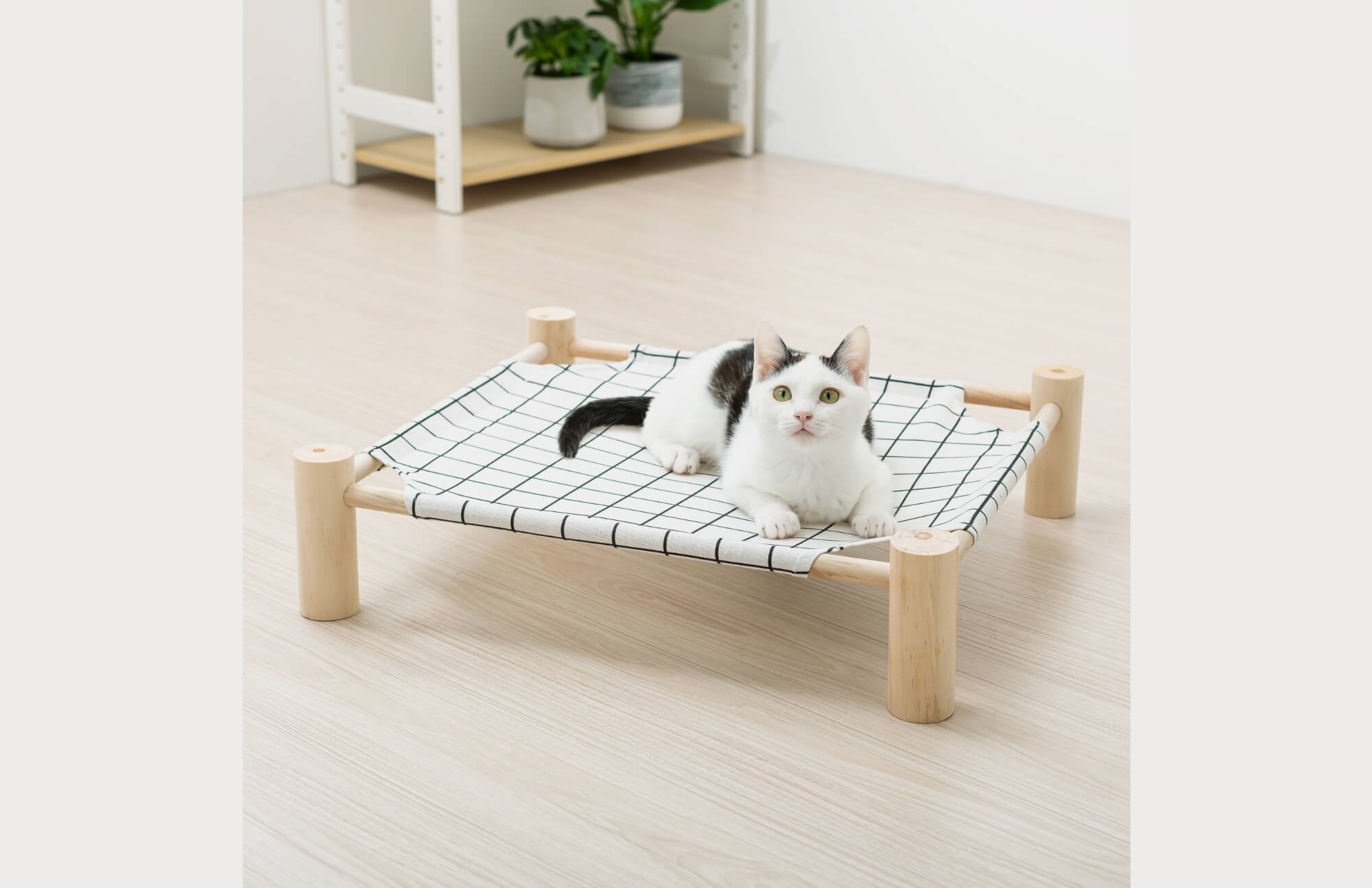 StandardaProducts cat&dog