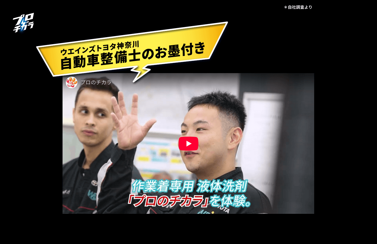 NSファーファ プロのチカラ ブランドサイト
