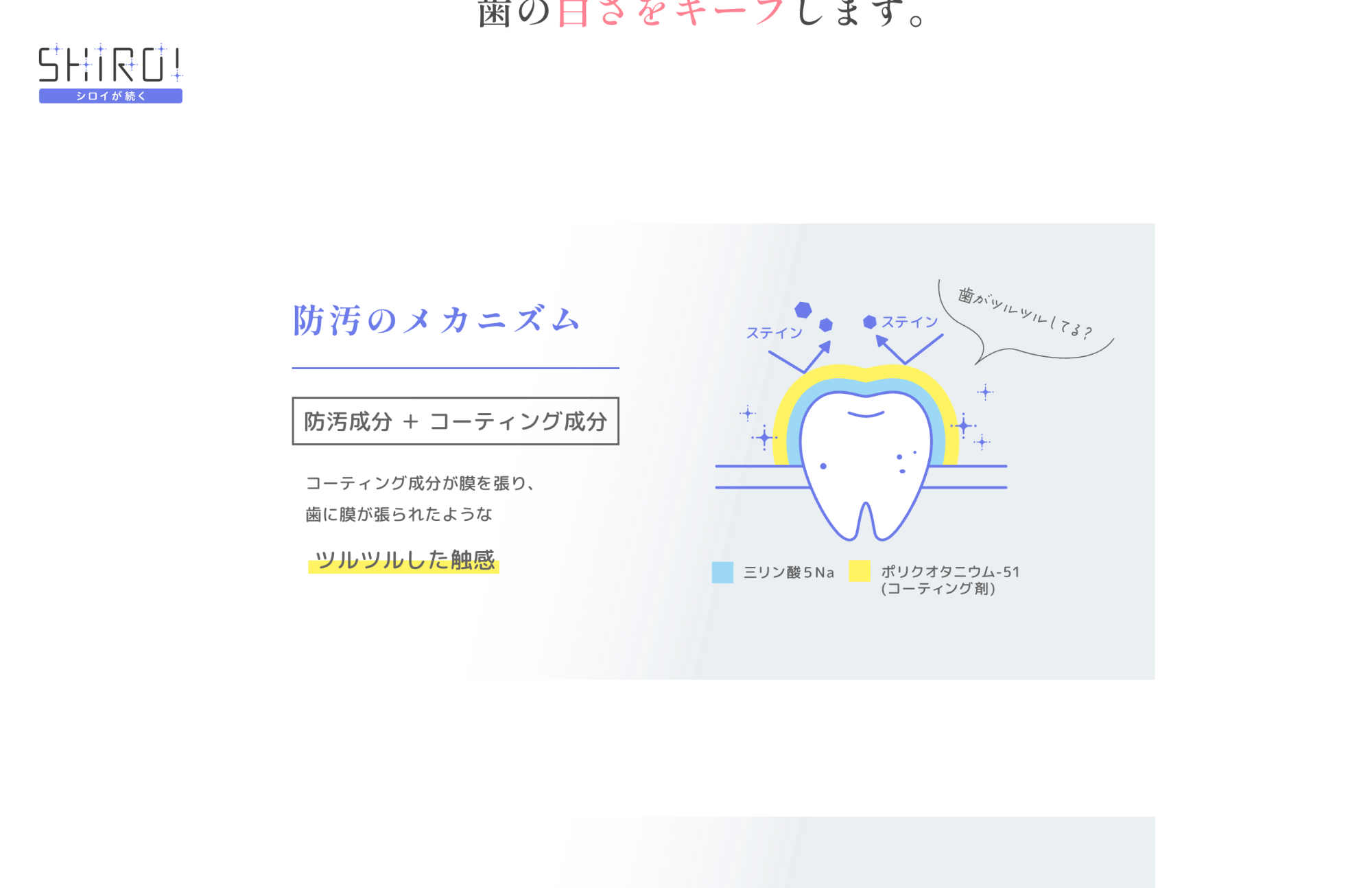 NSファーファ・ジャパン SHIROI ブランドサイト